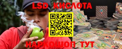 шишки Камышлов